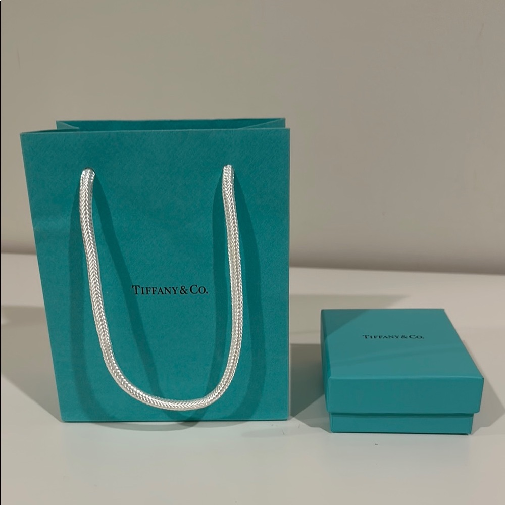 Tiffany & Co. Teal Gift Bag and Box Set